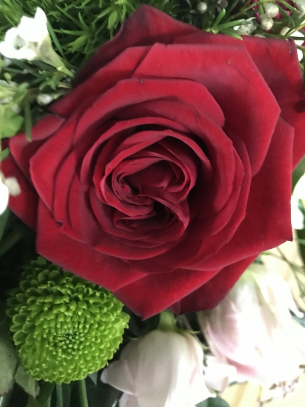 Profilbild von Uwe Schlichting