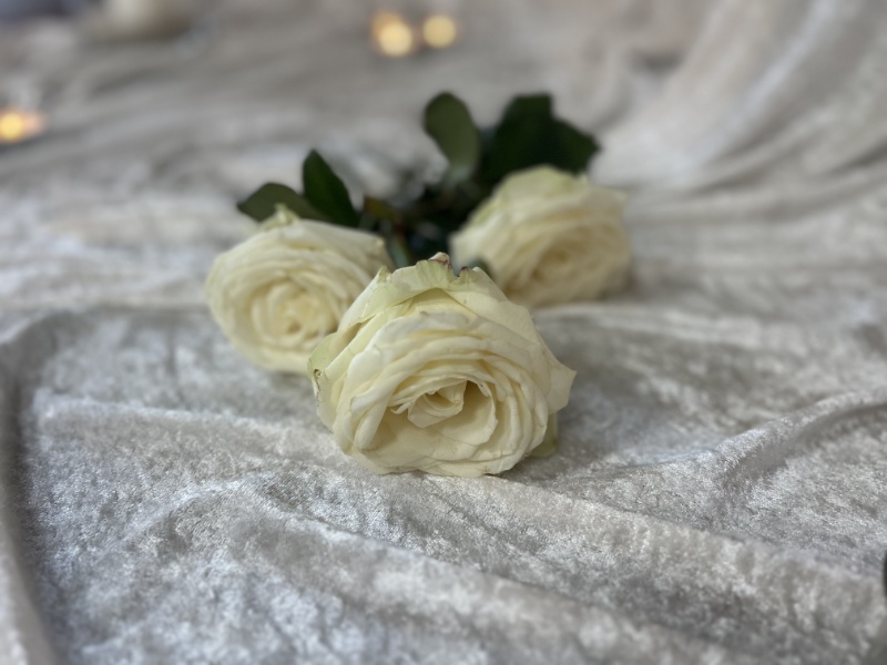 Profilbild von Wolfgang Jahnke